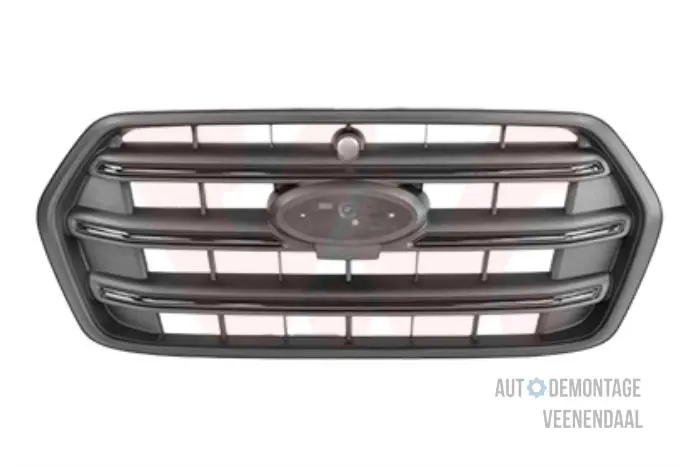 Grill Ford Transit